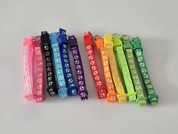 Komplet smycz+obroża